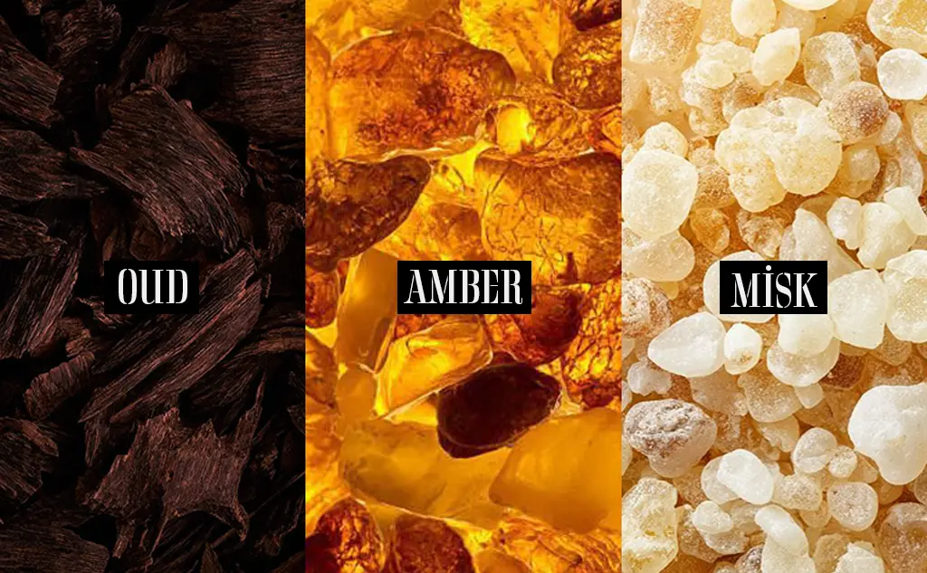 Oud, natural amber and musk